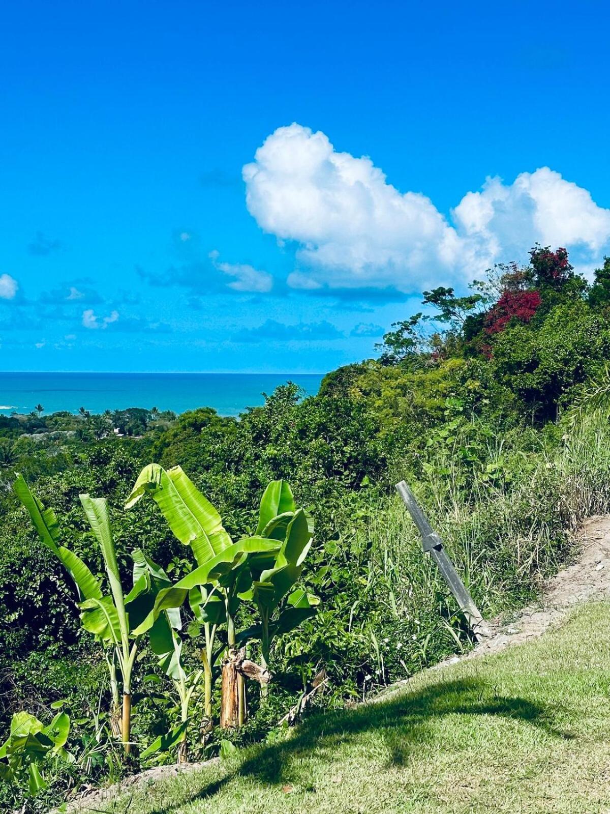 Charming Little Paradise Steps Away From The Apartment Porto Seguro